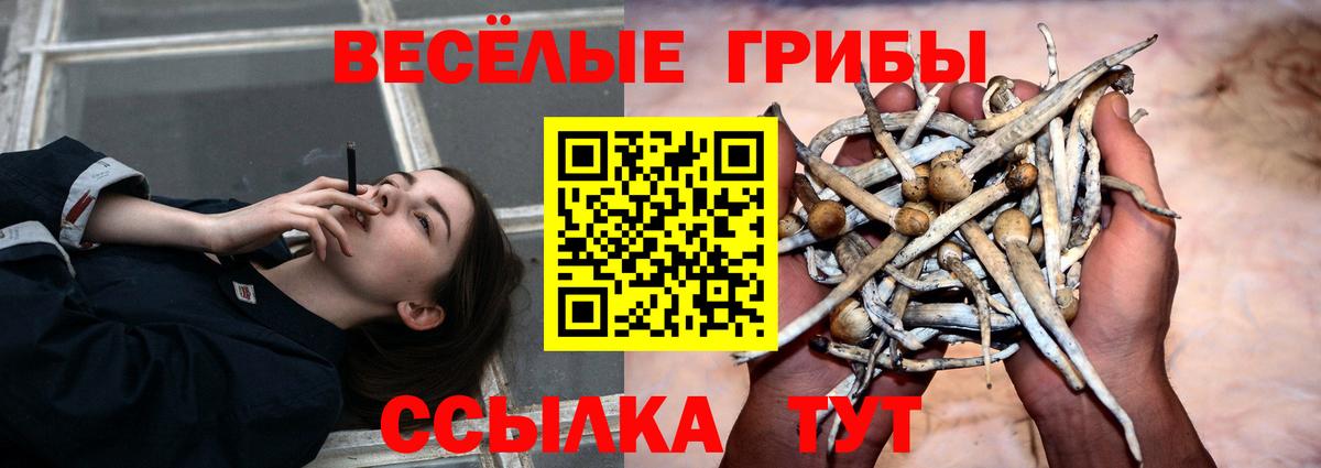 Нальчик  Галлюциногенные грибы мухоморы  Вход с VPN 